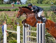 DI GIAMBERARDINO GIOCO CampITA2013- S5 0920 : Campionati Italiani 2013, Cattolica, DI GIAMBERARDINO DARIO, GIOCO DEL CASTEGNO, Horse Riviera Resort, foto di Stefano Secchi ©